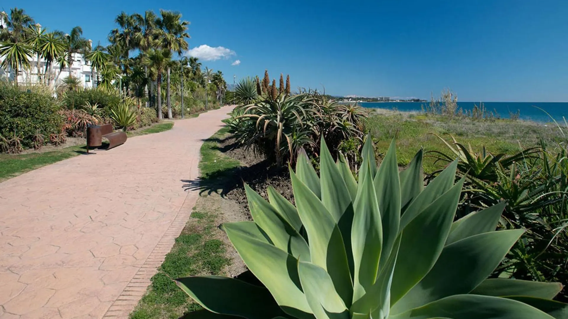 1126 Beachfront High Standard Apartment With Terrace Estepona